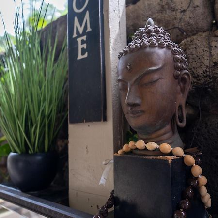 Wailuku Unit 18 Maui Ohana Modern Studio מראה חיצוני תמונה