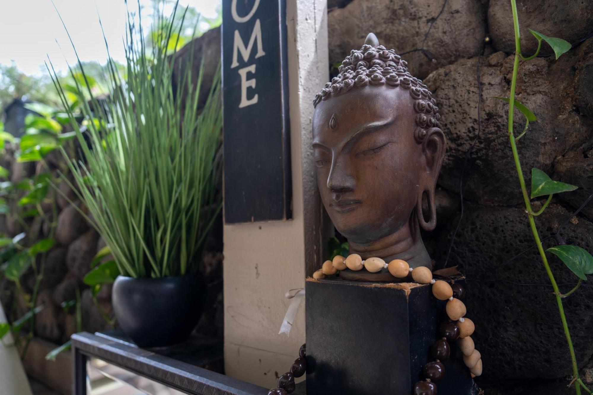 Wailuku Unit 18 Maui Ohana Modern Studio מראה חיצוני תמונה